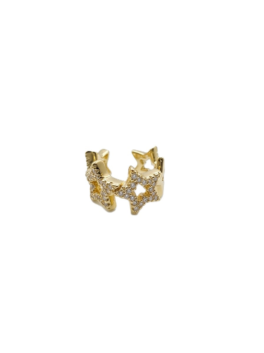 Kıkırdak Küpe GOLD
