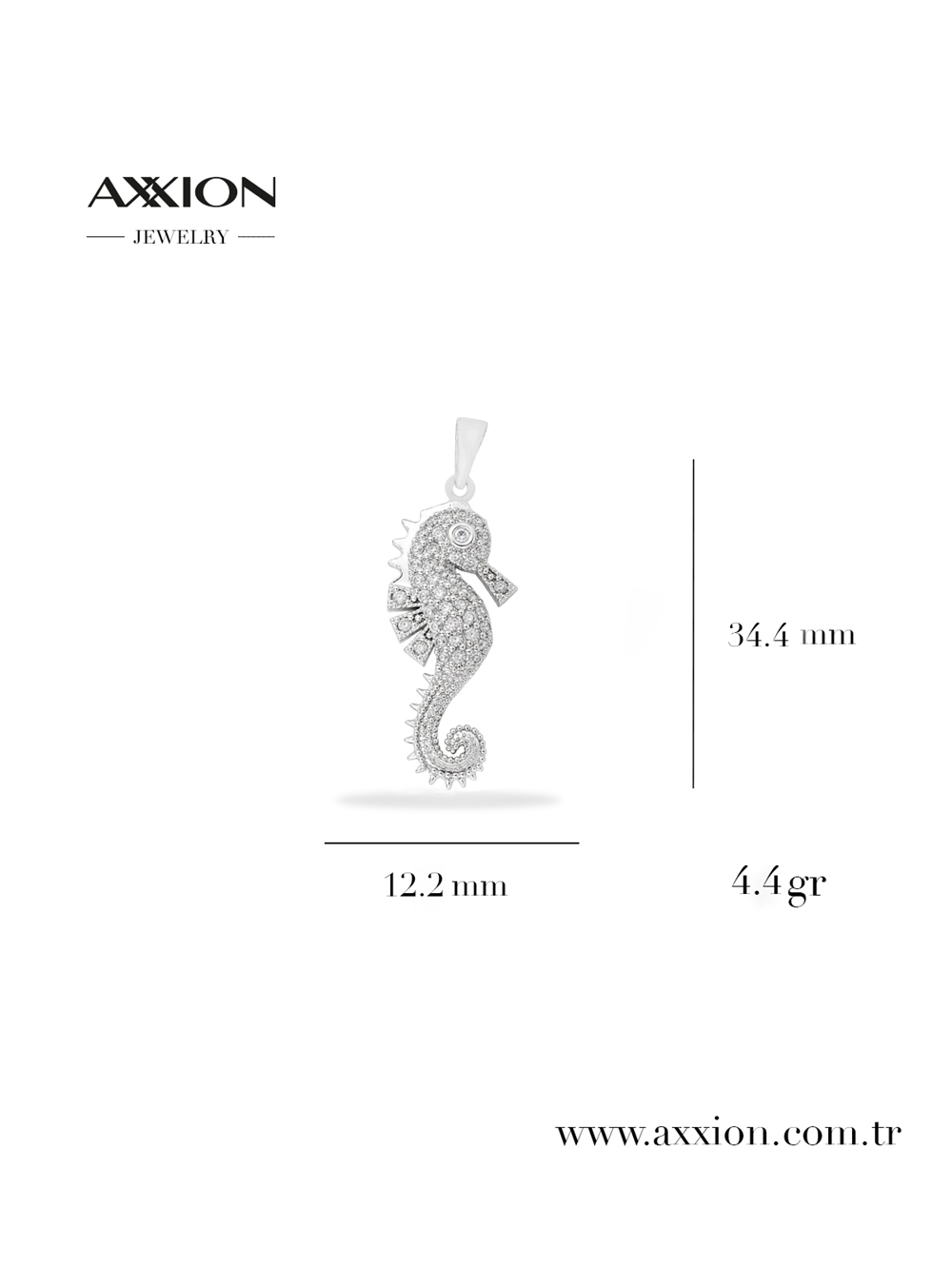 AXXION Kolye Ucu SILVER
