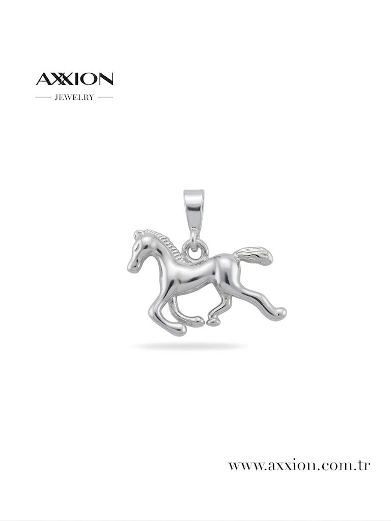 AXXION Kolye Ucu SILVER