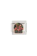 Çelik Charm