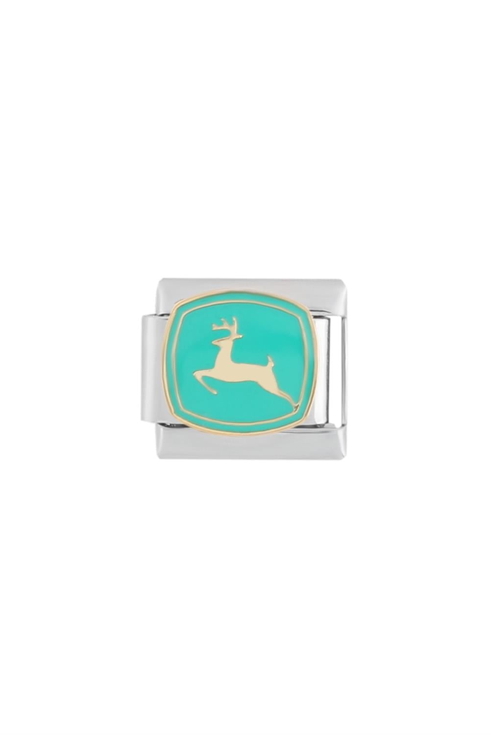 Çelik Charm