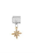 Çelik Charm