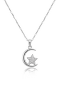 Çelik Kolye SILVER 45cm