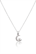 Çelik Kolye SILVER 45cm