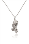 Çelik Kolye SILVER 45cm