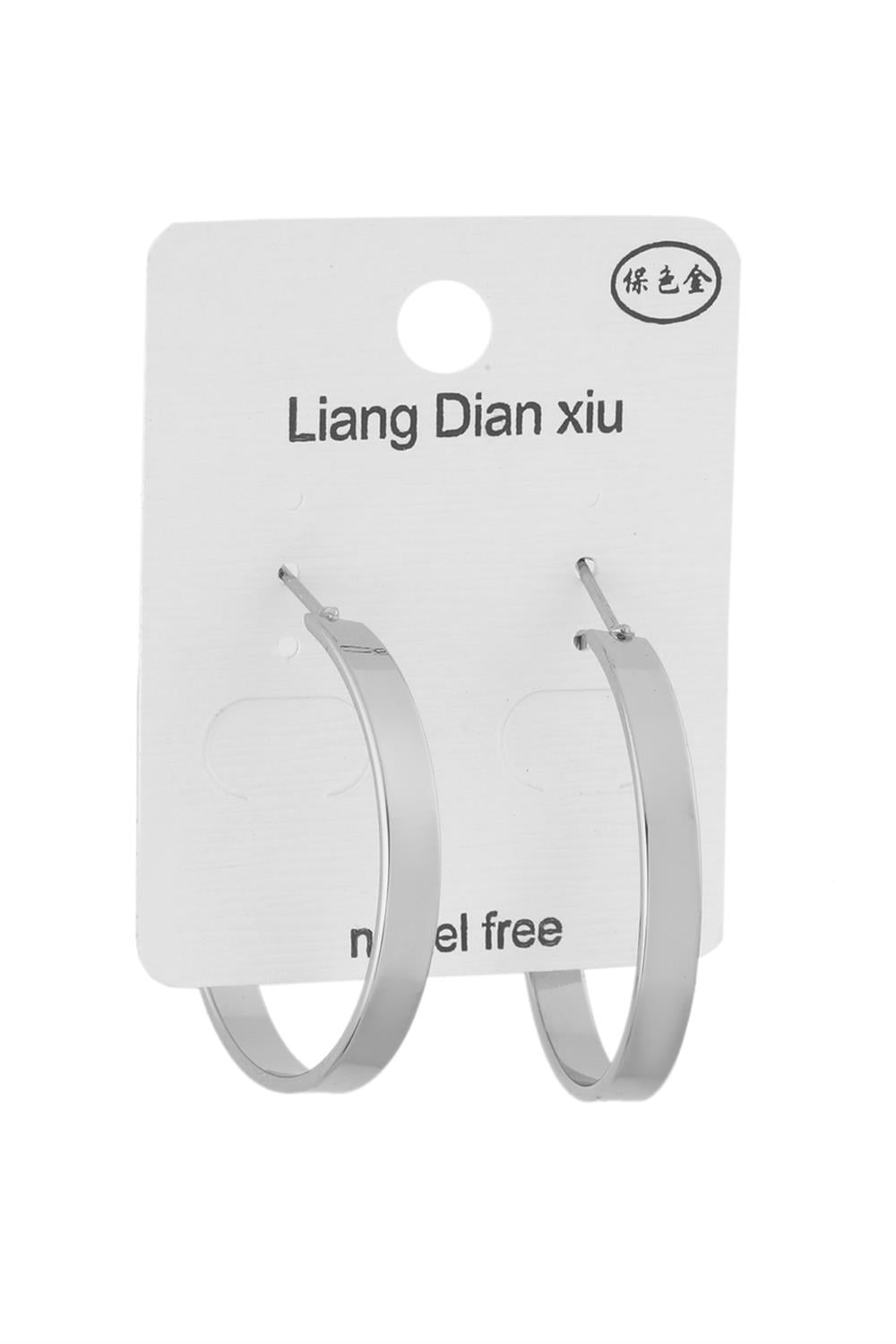 Hoop Earring Silver
