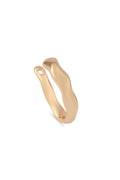 Kıkırdak Küpe Gold